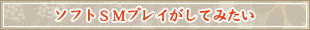 ソフトSMプレイがしてみたい