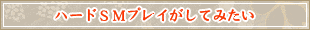 ハードSMプレイがしてみたい